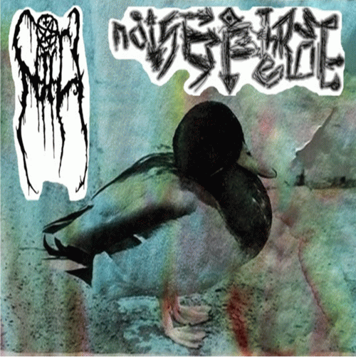 Niili : Niili - Noiseoftherose